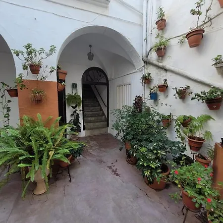 Casa Cuna דירה