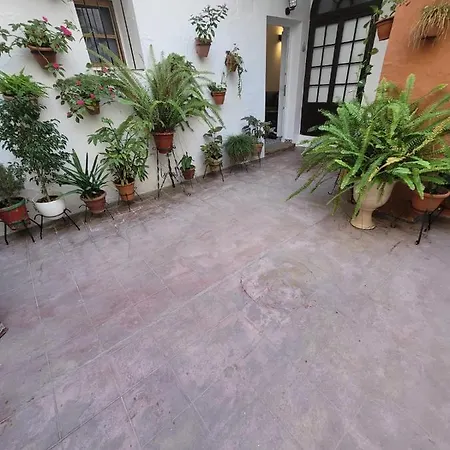 דירה Casa Cuna *
